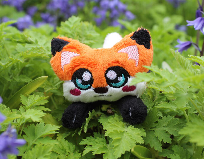 Fox Fox