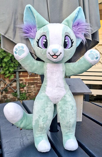 Mint Cat Mint Cat