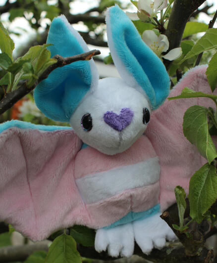 Trans Bat Trans Bat