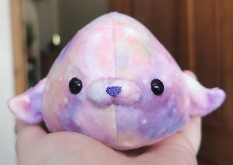 Seal Seal